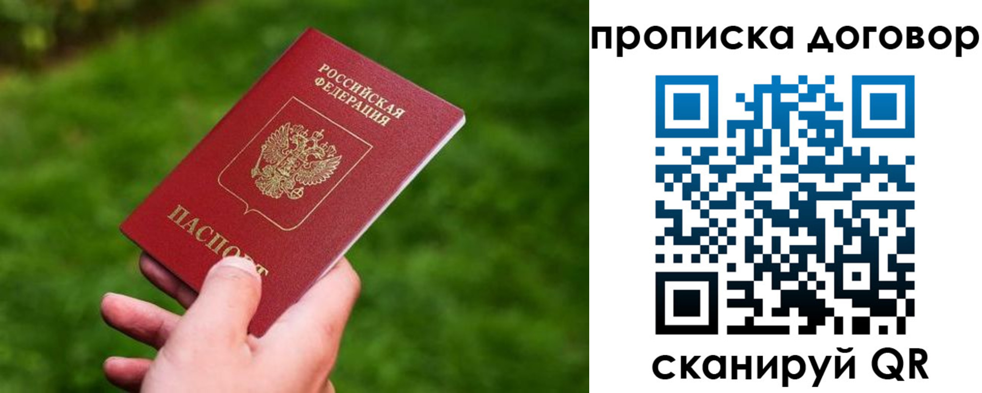 прописка гарантия в Кузнецке